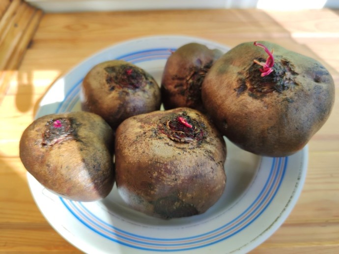 В Башкирии стали дешевле некоторые продукты