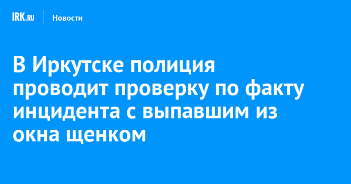 В Иркутске полиция проводит проверку по факту инцидента с выпавшим из окна щенком
