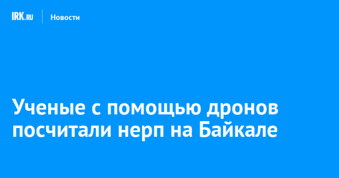 Ученые с помощью дронов посчитали нерп на Байкале