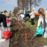 Около 100 кустов роз и 17 груш высадили на ВДНХ в рамках общегородского субботника