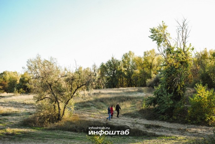 Астраханцев предупреждают о втором пике активности клещей