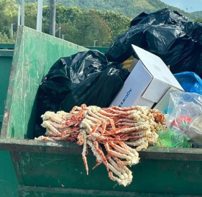 В Приморье неизвестные выкинули десяток крабов на помойку