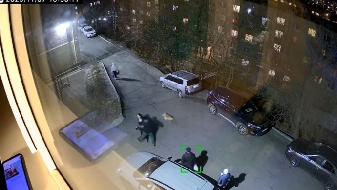 Во Владивостоке мужчина напал на женщину из‑за парковочного места