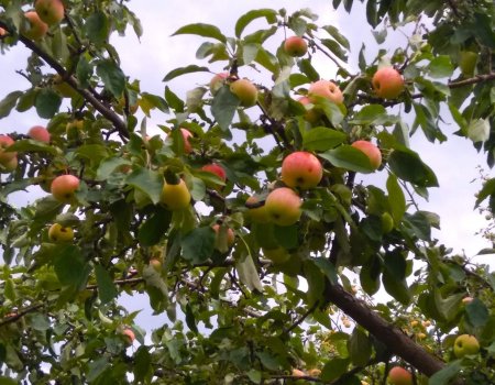 Когда же прекратятся дожди в Башкирии?