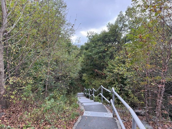 Первый снег выпал в Приморье, во Владивостоке пока осень