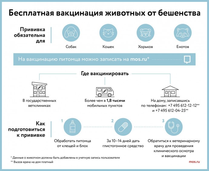 В столице началась сезонная программа бесплатной вакцинации домашних животных
