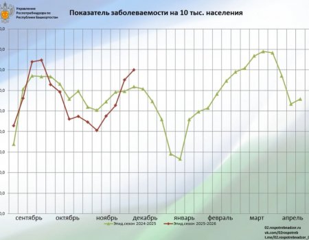 В Башкирии распространяются ОРВИ и гонконгский грипп