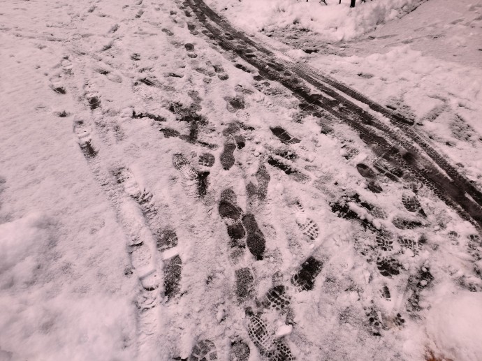 Метеоролог Позднякова: Снег в Москве может не лечь до конца декабря