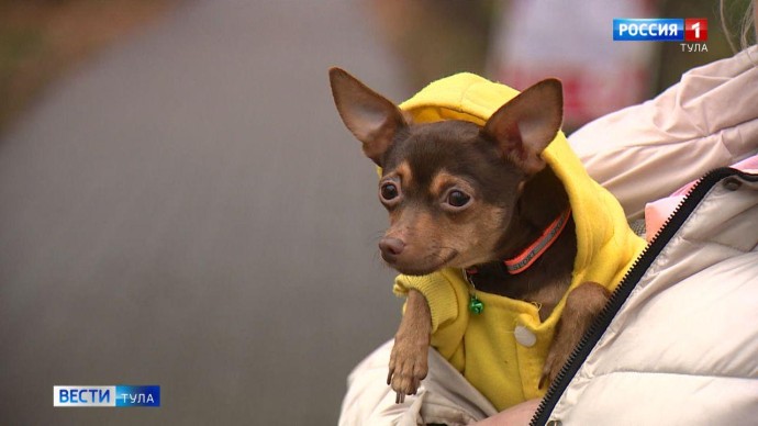 Метеоролог Александр Шувалов сообщил о двух волнах тепла и двух волнах холода