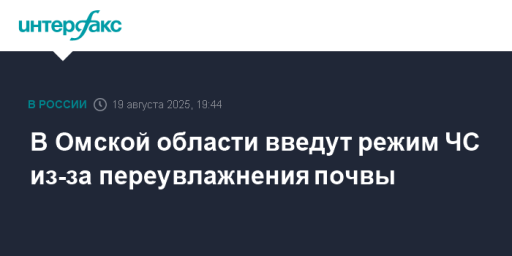 В Омской области введут режим ЧС из-за переувлажнения почвы