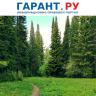 Правительство РФ утвердило новые правила пожарной безопасности в лесах