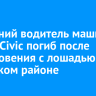 67-летний водитель машины Honda Civic погиб после столкновения с лошадью в Качугском районе