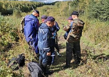 На севере Приамурья больше месяца ищут пожилого грибника