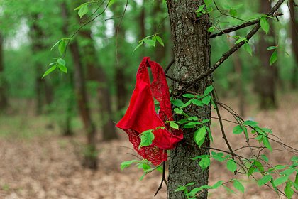 В лесных зонах отдыха Финляндии нашли секс-игрушки и нижнее белье В лесных зонах отдыха Финляндии нашли секс-игрушки и нижнее белье