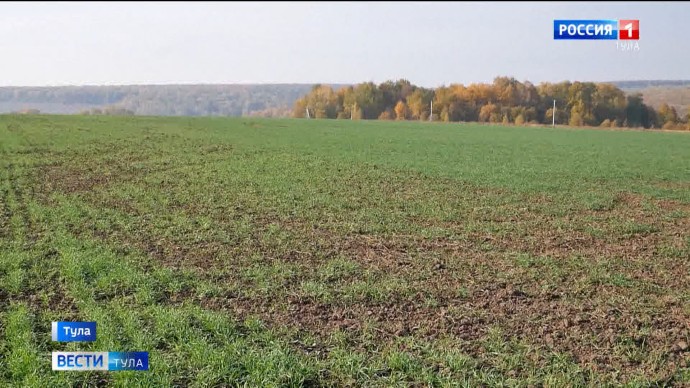 Росреестр проверил более 45 тысяч гектаров земли в Тульской области с начала года