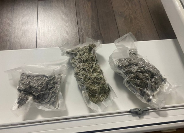 Около 200 граммов марихуаны изъяли у жителя Саранска с помощью служебной собаки