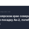 В Красноярском крае совершил жесткую посадку Ан-2 авиакомпании "Борус"