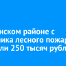 В Боханском районе с виновника лесного пожара взыскали 250 тысяч рублей