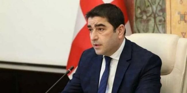 Спикер парламента Грузии призвал посольство Швеции положить конец лицемерию