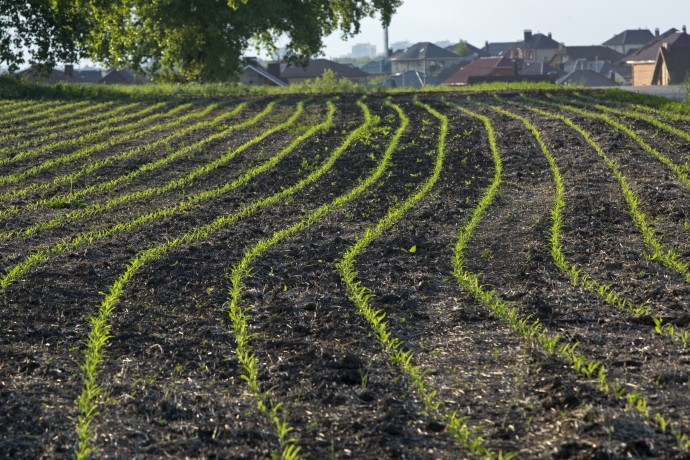 Бойцы сохранят право на арендованные участки земли во время пребывания на СВО