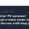 Минпромторг РФ оценивает инвестиции в новую верфь на Дальнем Востоке в 600 млрд рублей