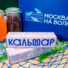 На рыбных рынках «Москва — на волне» начался сезон командорского кальмара