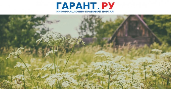 Россельхознадзор напомнил о правилах борьбы с борщевиком