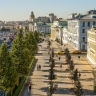 Сергей Собянин: На Ленинском проспекте в этом году высадят липы и вязы