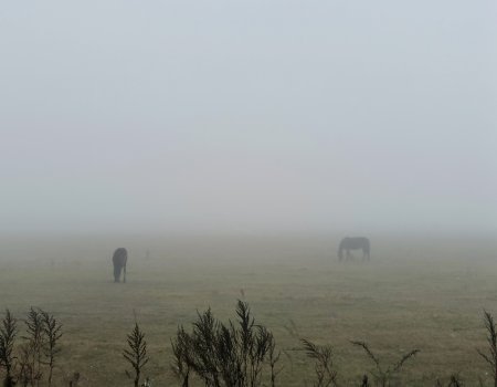 Синоптики предсказали погоду в Башкирии на конец октября