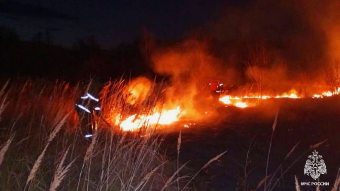 В Тульской области выявлено и наказано 184 поджигателя сухой травы