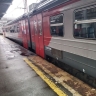 Дачникам Приморья сообщили приятную новость