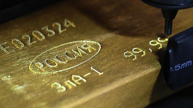 Международные резервы России достигли нового рекорда