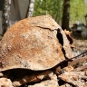 На Косой Горе обнаружены останки жителей, погибших в годы Великой Отечественной войны
