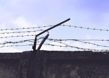 Собирали «общак» и наказывали несогласных: в Амурской области вынесли приговор 11 участникам движения «АУЕ»*