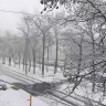 Субботник на Сахалине и Курилах официально перенесли из-за погодных условий