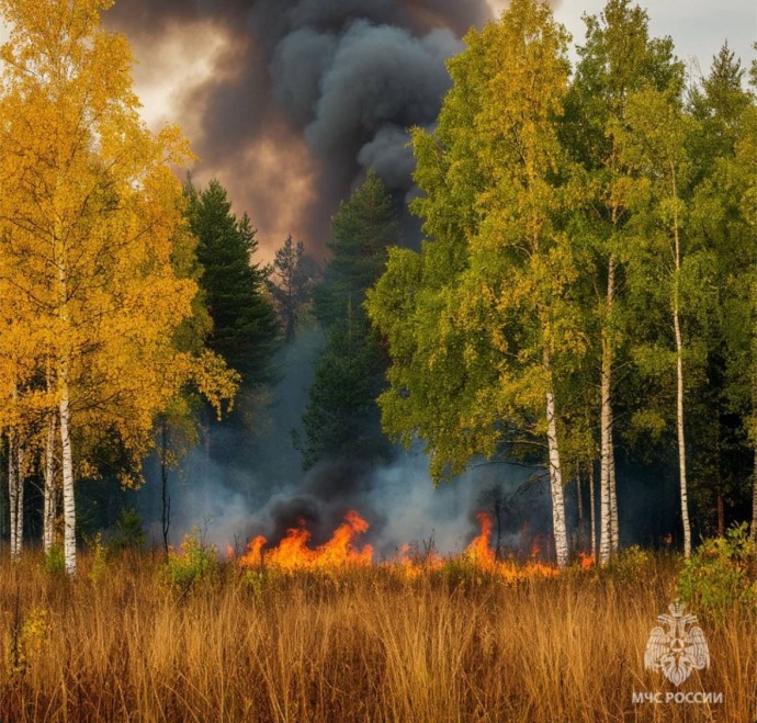 В Зилаирском районе Башкирии ликвидировали лесной пожар В Зилаирском районе Башкирии ликвидировали лесной пожар