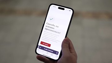 Стартовала тренировка федеральной платформы дистанционного голосования