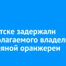 В Иркутске задержали предполагаемого владельца конопляной оранжереи