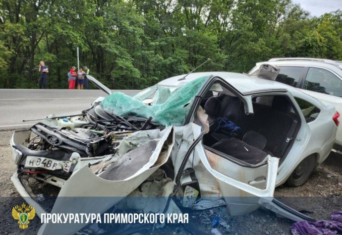 Цена выезда на «встречку»: на трассе в Приморье погиб 12-летний ребенок