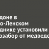 На кордоне в Байкало-Ленском заповеднике установили электрозабор от медведей