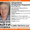 В лесах Юрьянского района пропал пожилой грибник