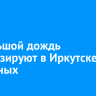 Небольшой дождь прогнозируют в Иркутске на выходных