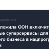 РФ предложила ООН включить цифровые суперсервисы для малого и среднего бизнеса в нацпрограммы развития