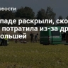 На Западе раскрыли, сколько НАТО потратила из-за дронов над Польшей