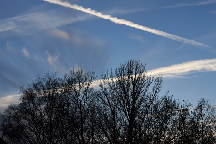 В одном из райцентров Пензенской области ввели режим ЧС после падения осколков БПЛА В одном из райцентров Пензенской области ввели режим ЧС после падения осколков БПЛА