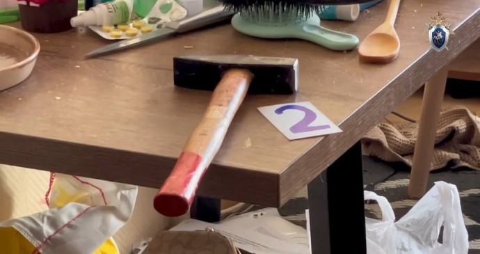 Обвиняемых в убийстве матери и сына в Якутске заключили под стражу Обвиняемых в убийстве матери и сына в Якутске заключили под стражу