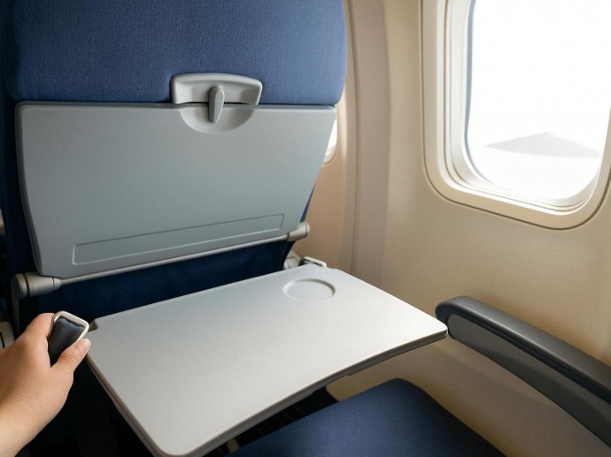 Бактерии на борту: какие места в самолёте превращаются в инкубатор болезней Бактерии на борту: какие места в самолёте превращаются в инкубатор болезней