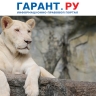 Кабмин скорректировал порядок получения лицензий для зоопарков и цирков