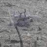 В Польше упал и взорвался неопознанный объект