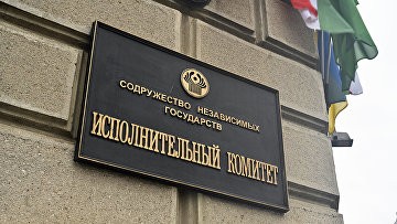 В СНГ ведется работа по содействию развитию добровольчества